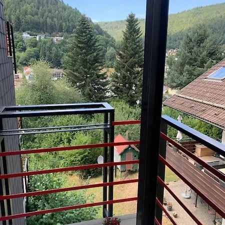 Gemuetliches Einzimmer-Apartment 33 Bad Wildbad Exterior photo