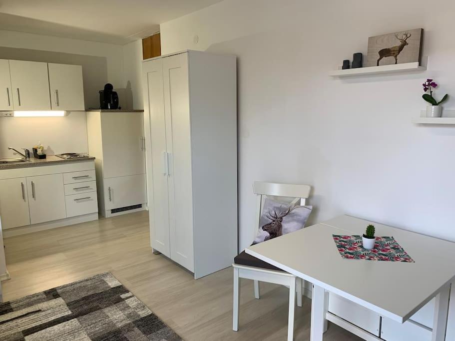 Apartment Gemuetliches Einzimmer-apartment 33