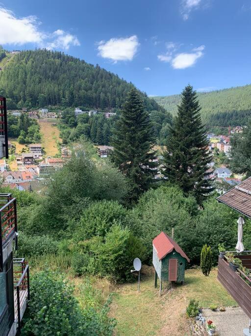 Gemuetliches Einzimmer-apartment 33 Bad Wildbad
