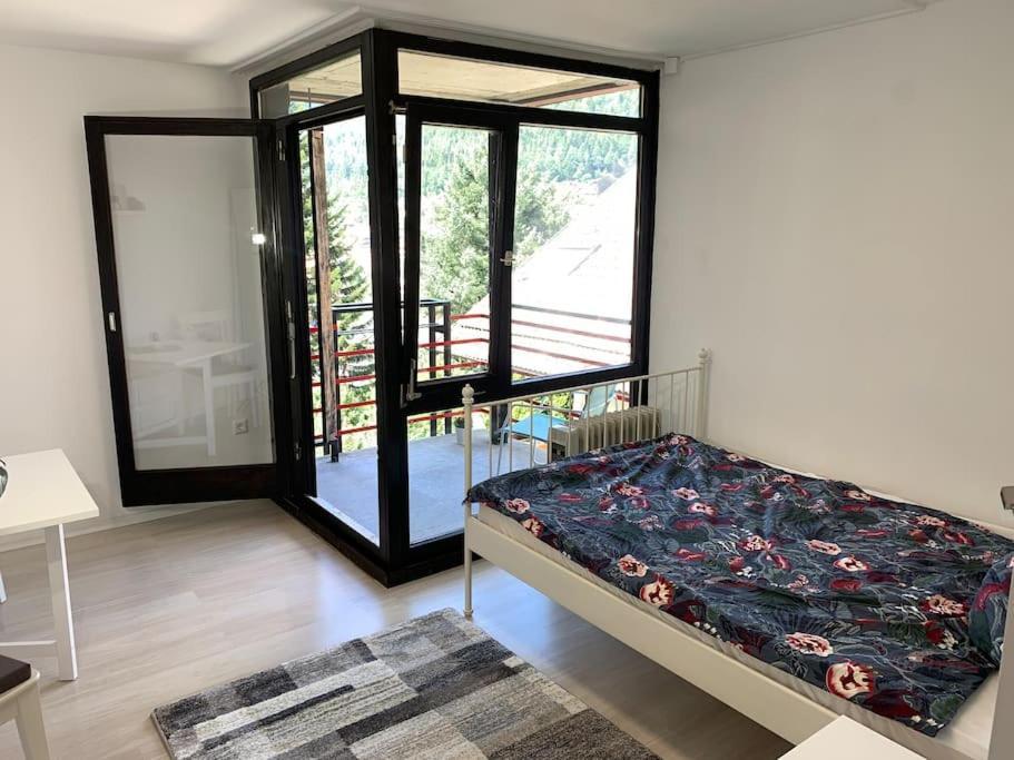 Gemuetliches Einzimmer-apartment 33 Apartment Bad Wildbad