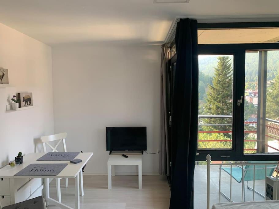 Gemuetliches Einzimmer-apartment 33 Apartment Bad Wildbad