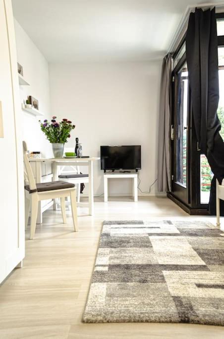 Apartment Gemuetliches Einzimmer-apartment 33