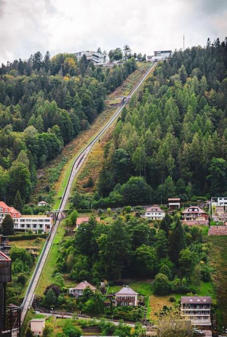 Gemuetliches Einzimmer-apartment 33 Bad Wildbad